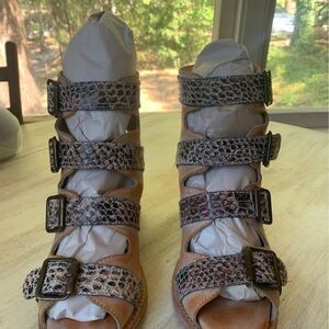 Quail blush multi size 7